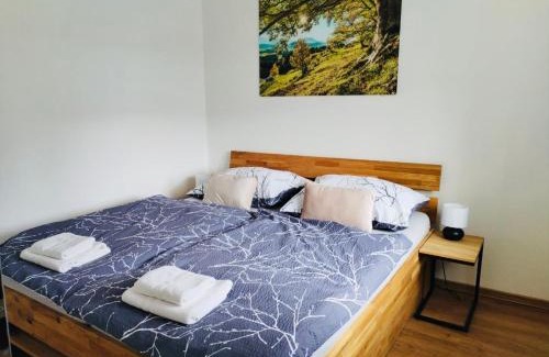 Karlovice Apartment | Horský apartmán Karlovice