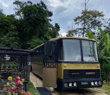Arace Other | Hospedagem Ônibus Gold em Pedra Azul