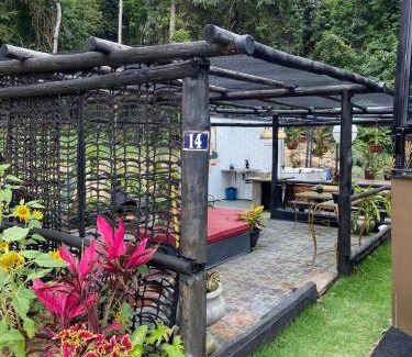 Arace Other | Hospedagem Ônibus Gold em Pedra Azul