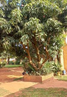 Caaguazu Department House | Hospedaje Arco Iris