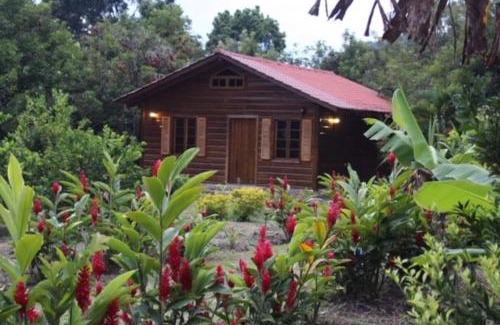 El Eden Cabin | Hospedaje en el Lago