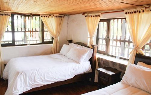 Floresta House | Hospedaje Villa Eucalyptus