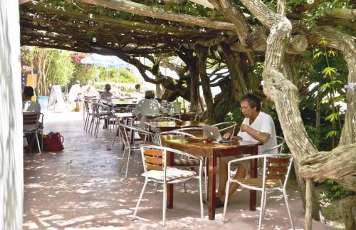 Playa des Figueral House | Hostal Alocs