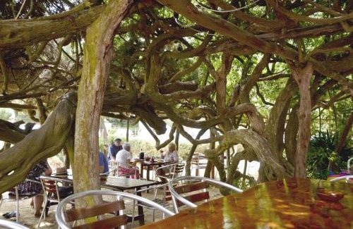 Playa des Figueral House | Hostal Alocs