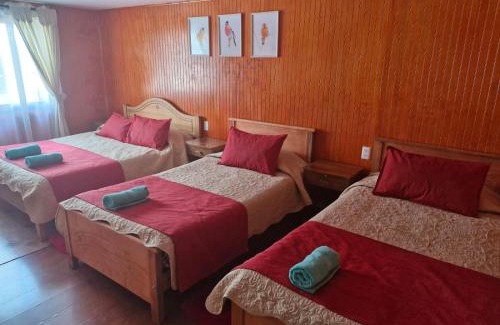 Llanquihue House | Hostal La nona