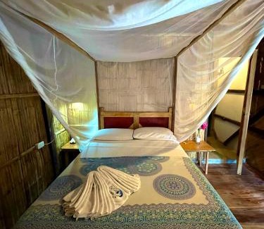 Canoa House | Hostal Olmito Canoa
