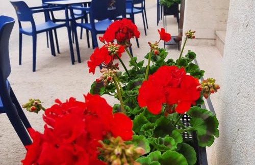 Penarroya de Tastavins House | Hostal Tastavins