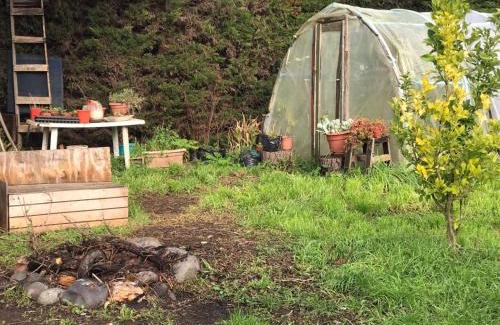 Los Angeles Apartment | Hostal y Camping UVACHAI