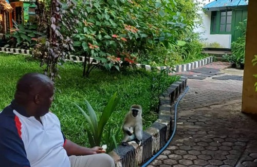 Arusha Hostel | Hostel ∙ 34 guests