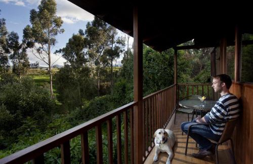 Polivio Hotel | Hosteria Papagayo Cotopaxi