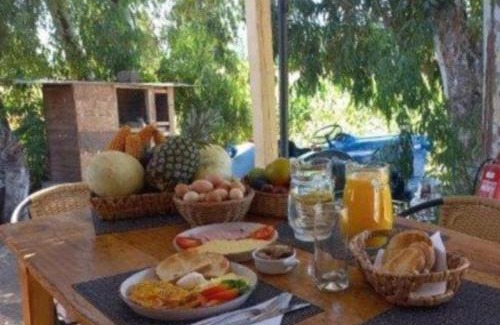 Malloa Apartment | Hosteria y Cabañas Malloa - Naturaleza y Desconexión