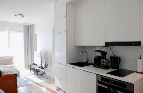 Rovaniemi Apartment | Hostit Arctic Apatments 36A8