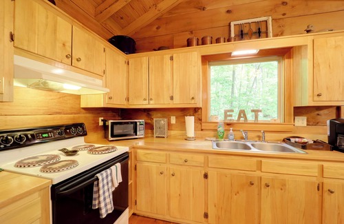 Vein Mountain Cabin | Hot Tub & Trail Access: Relaxing Marion Cabin