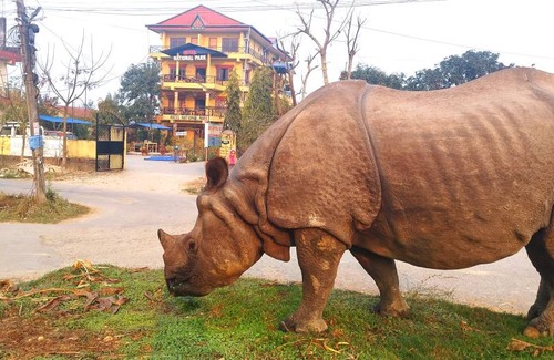 Sauraha Hotel | Hotel ∙ 8 guests