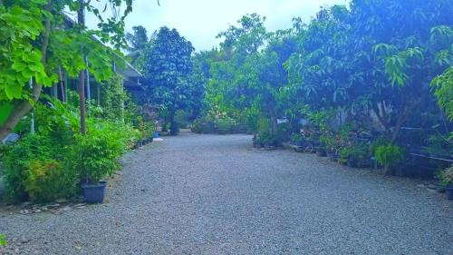 Pidie Jaya Hotel | HOTEL ANANDA