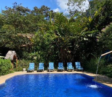 Mindo Hotel | Hotel El Abrazo del Arbol