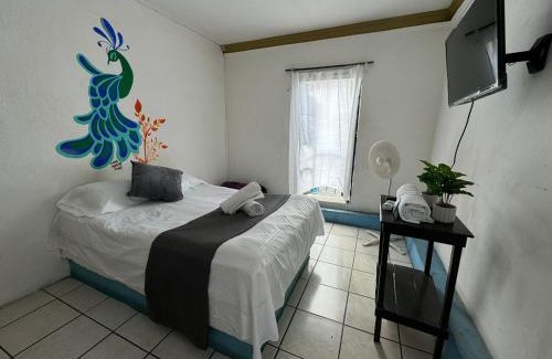 Centro Hotel | Hotel El Mexicano Tepic Centro