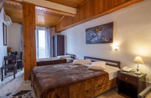 Delfoi Hotel | Hotel Lefas