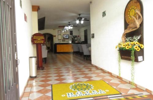 Centro Hotel | Hotel Los Girasoles