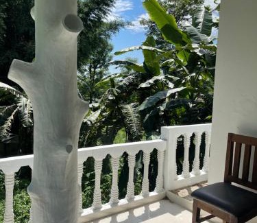Sauraha Hotel | Hotel Misty Nepal