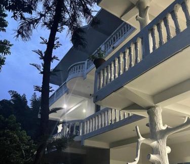 Sauraha Hotel | Hotel Misty Nepal