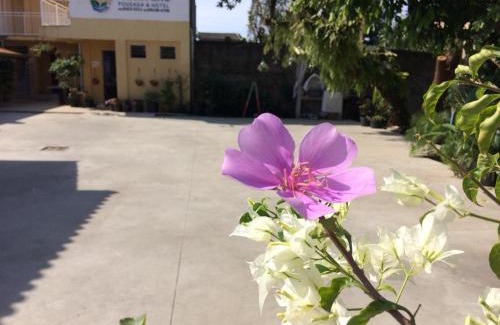 Paranagua Hotel | Hotel Naturalis