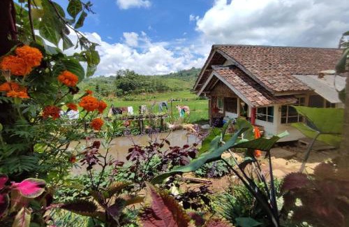 Java Hotel | Hotel O Desa Wisata TarajuNearGunung Panggung