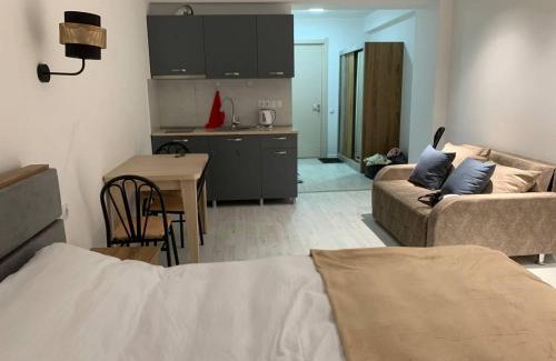 Kazbegi Apartment | Hotel Peak