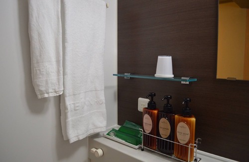 Takagi-mura Hotel | Hotel Route Inn Iida