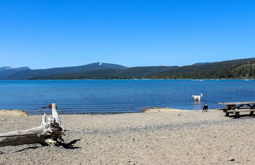Tahoe Woods Apartment | Hotel-style studio near Palisades Tahoe