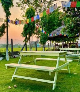 Sauraha Hotel | Hotel Tree Tops- A Serene Friendly Hotel in Sauraha