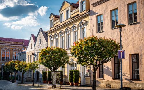 Slavonice Hotel | Hotel U Růže