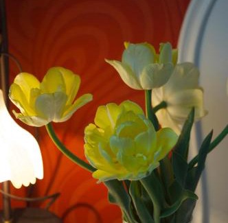Kazimierz Dolny Hotel | Hotel Wenus