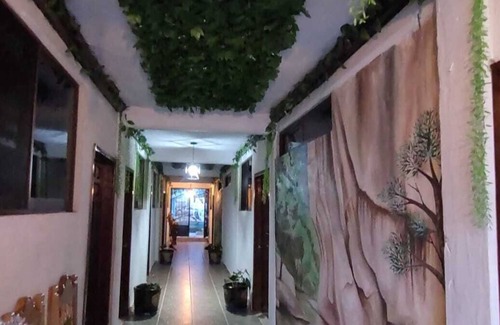 Acapulco de Juarez Municipality Hotel | Hotel Xaltianguis