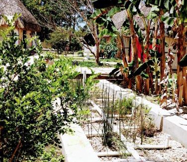 Izamal Hotel | Hotel y Museo Aldea Maya Toktli Orígenes - Suite Casa Maya Del Jabín - Alberca, Wifi Starlink, Tour Museo