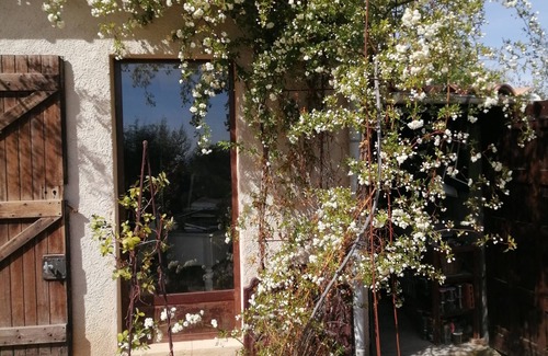 Saint-Martin-de-la-Brasque House | House with vineyard views in the southern Luberon