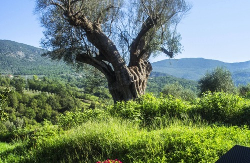 Santa Marina House | House immersed in the green of the Cilento Park