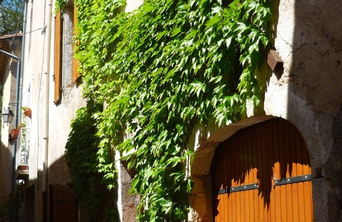 Saint-Jean-de-Bueges House | House in a beautiful listed village