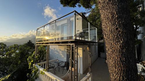 Sutomore House | House in the pines