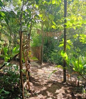 Velha Boipeba Ski Chalet | House in the Trees