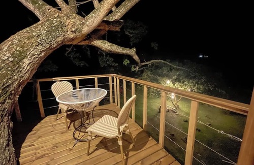 Utica House | House in the Tree near Bogota SOPHIA