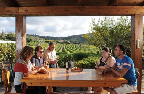Magomadas Apartment | House in the vineyard with sea view (2)