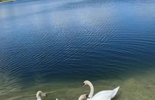 SilverLakes House | House on water (feels like the ocean) w pool