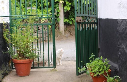 Santa Marta de Penaguiao House | House at the Bottom of the Village