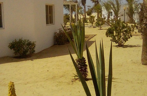 Rabil House | House sea view #2A Praia de Chaves