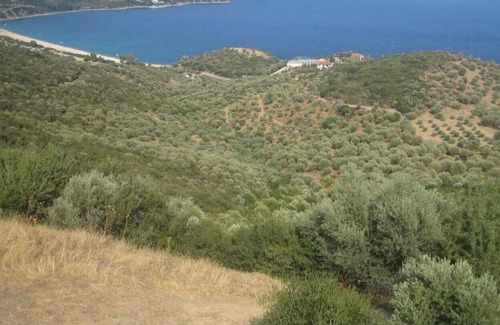Pirgadikia House | House SOFIA - Quiet house with a large garden for a relaxing holiday
