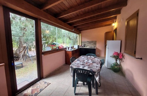 Iglesias Historic Centre Apartment | House The Ancient Olive Tree, nestled in a centuries-old olive grove with a large garden around it.