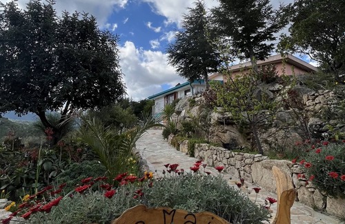 Dorgali House | House with garden and barbecue