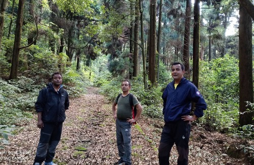 Tukdah Forest House | House with homestay . world famous Flowers nursery and pine trees jungle