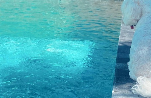 Porto Seguro House | House with pool for Vacation in Porto Seguro/BA!